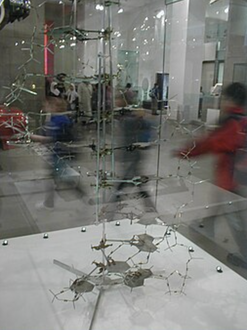 DNA model built by Crick and Watson in 1953, on display in the National Science Museum of London.